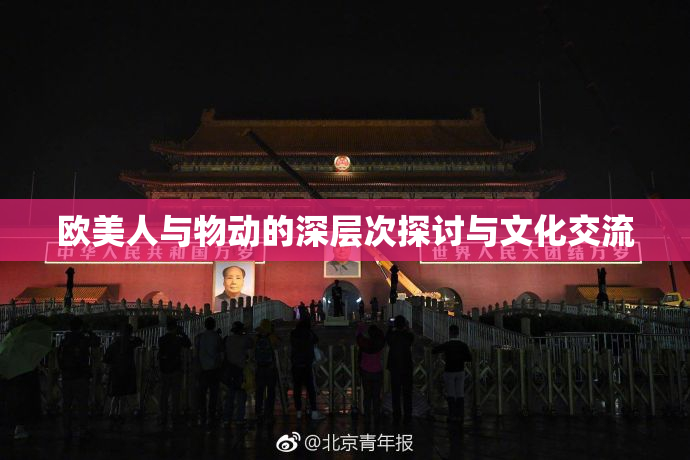 欧美人与物动的深层次探讨与文化交流