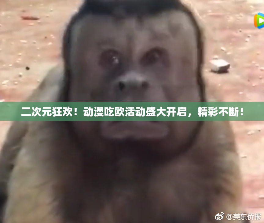 二次元狂欢！动漫吃欧活动盛大开启，精彩不断！