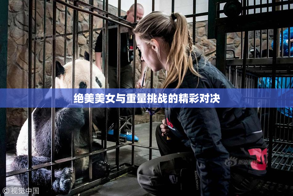 绝美美女与重量挑战的精彩对决