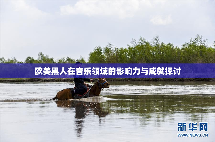 欧美黑人在音乐领域的影响力与成就探讨