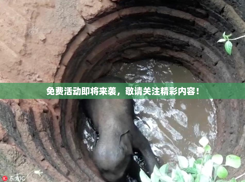 免费活动即将来袭，敬请关注精彩内容！