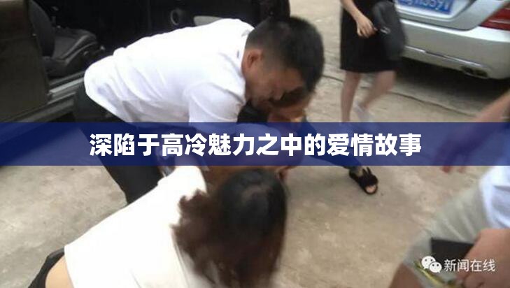 深陷于高冷魅力之中的爱情故事