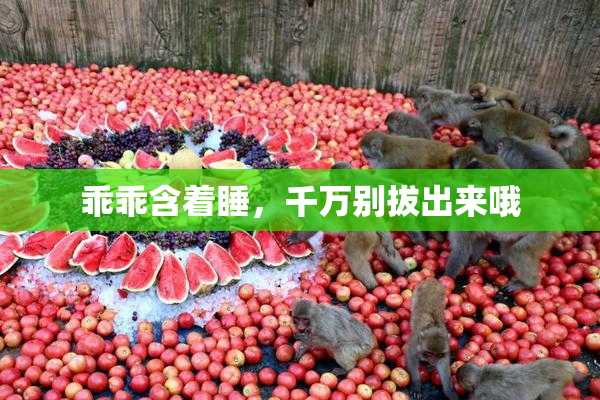 乖乖含着睡，千万别拔出来哦