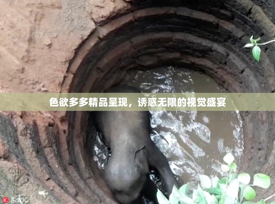 色欲多多精品呈现，诱惑无限的视觉盛宴