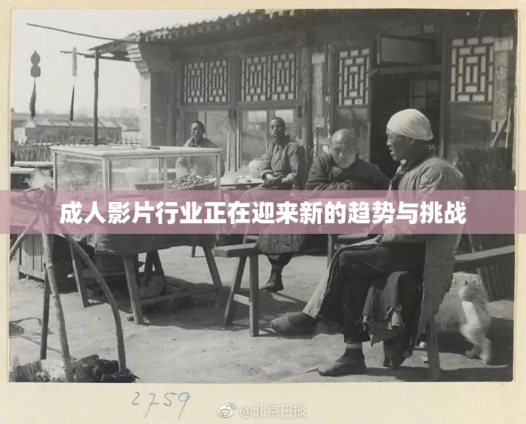 成人影片行业正在迎来新的趋势与挑战