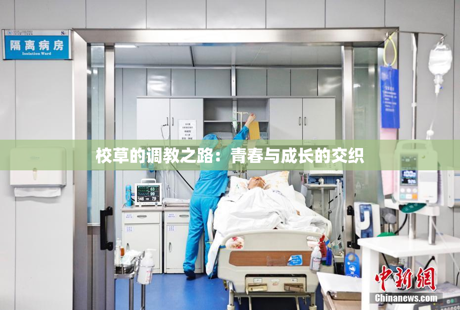 校草的调教之路：青春与成长的交织