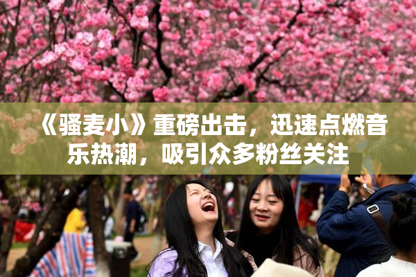 《骚麦小》重磅出击，迅速点燃音乐热潮，吸引众多粉丝关注