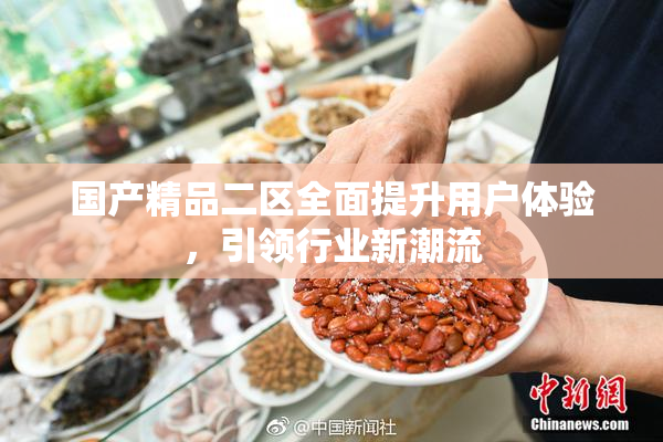 国产精品二区全面提升用户体验，引领行业新潮流