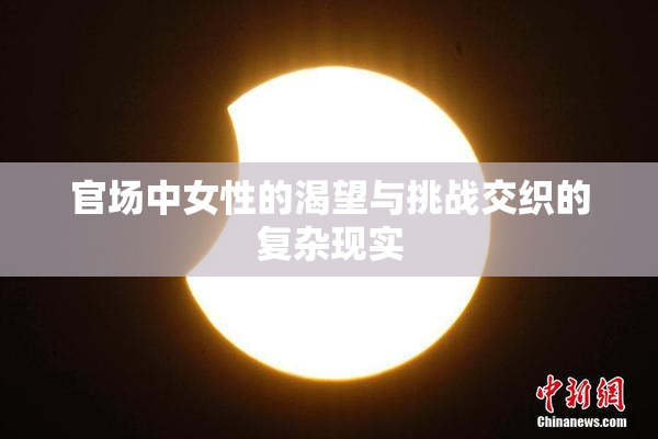 官场中女性的渴望与挑战交织的复杂现实