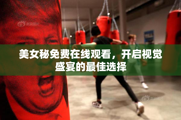 美女秘免费在线观看，开启视觉盛宴的最佳选择