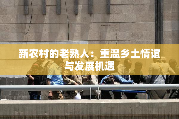 新农村的老熟人：重温乡土情谊与发展机遇
