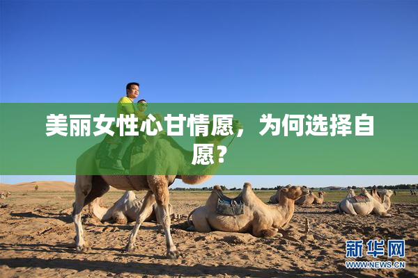 美丽女性心甘情愿，为何选择自愿？