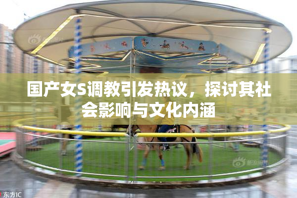 国产女S调教引发热议，探讨其社会影响与文化内涵