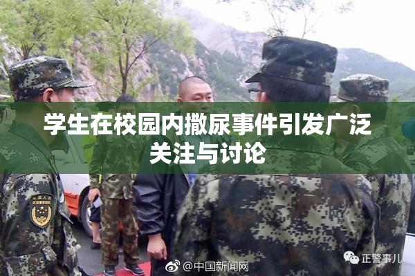 学生在校园内撒尿事件引发广泛关注与讨论