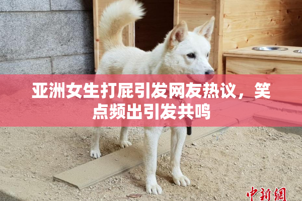 亚洲女生打屁引发网友热议，笑点频出引发共鸣