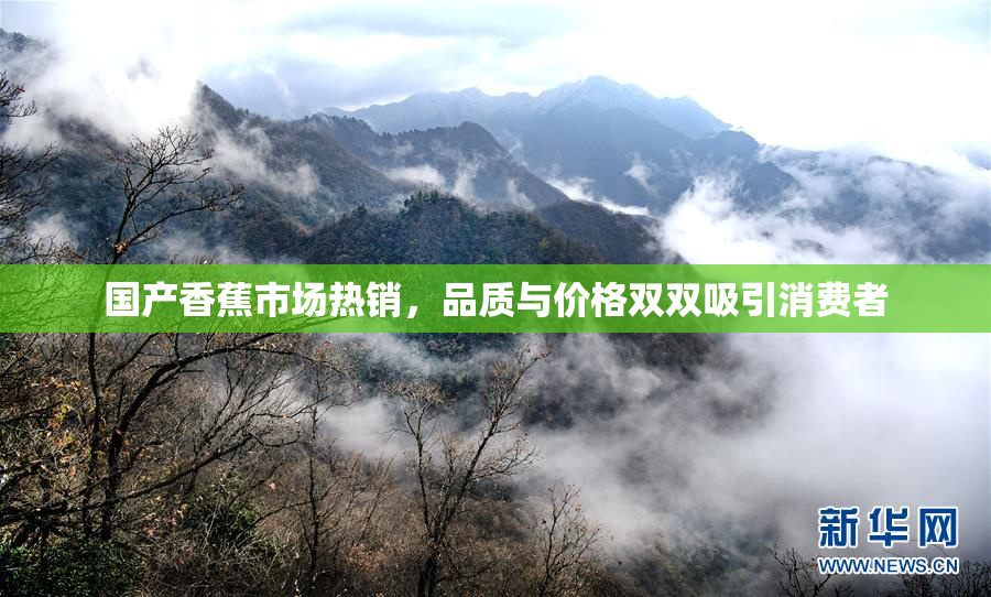 国产香蕉市场热销，品质与价格双双吸引消费者