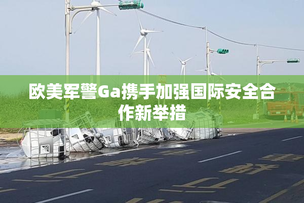 欧美军警Ga携手加强国际安全合作新举措