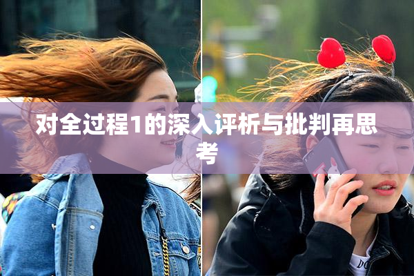 对全过程1的深入评析与批判再思考