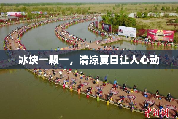 冰块一颗一，清凉夏日让人心动