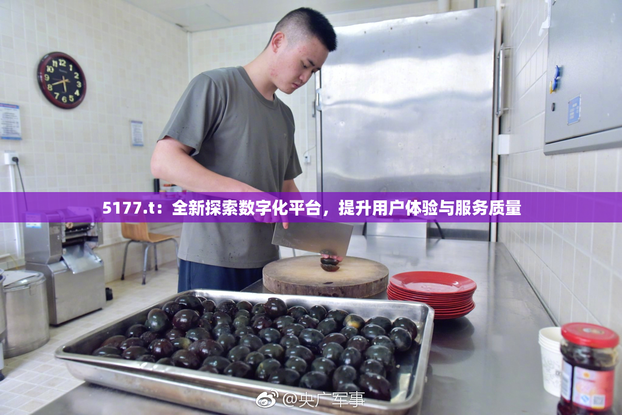 5177.t：全新探索数字化平台，提升用户体验与服务质量