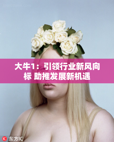 大牛1：引领行业新风向标 助推发展新机遇