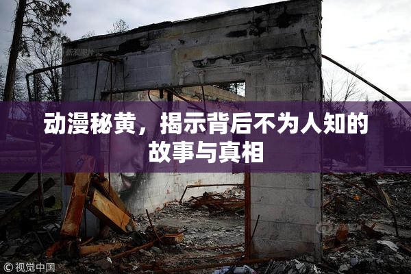 动漫秘黄，揭示背后不为人知的故事与真相