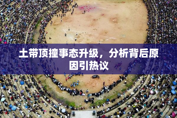 土带顶撞事态升级，分析背后原因引热议