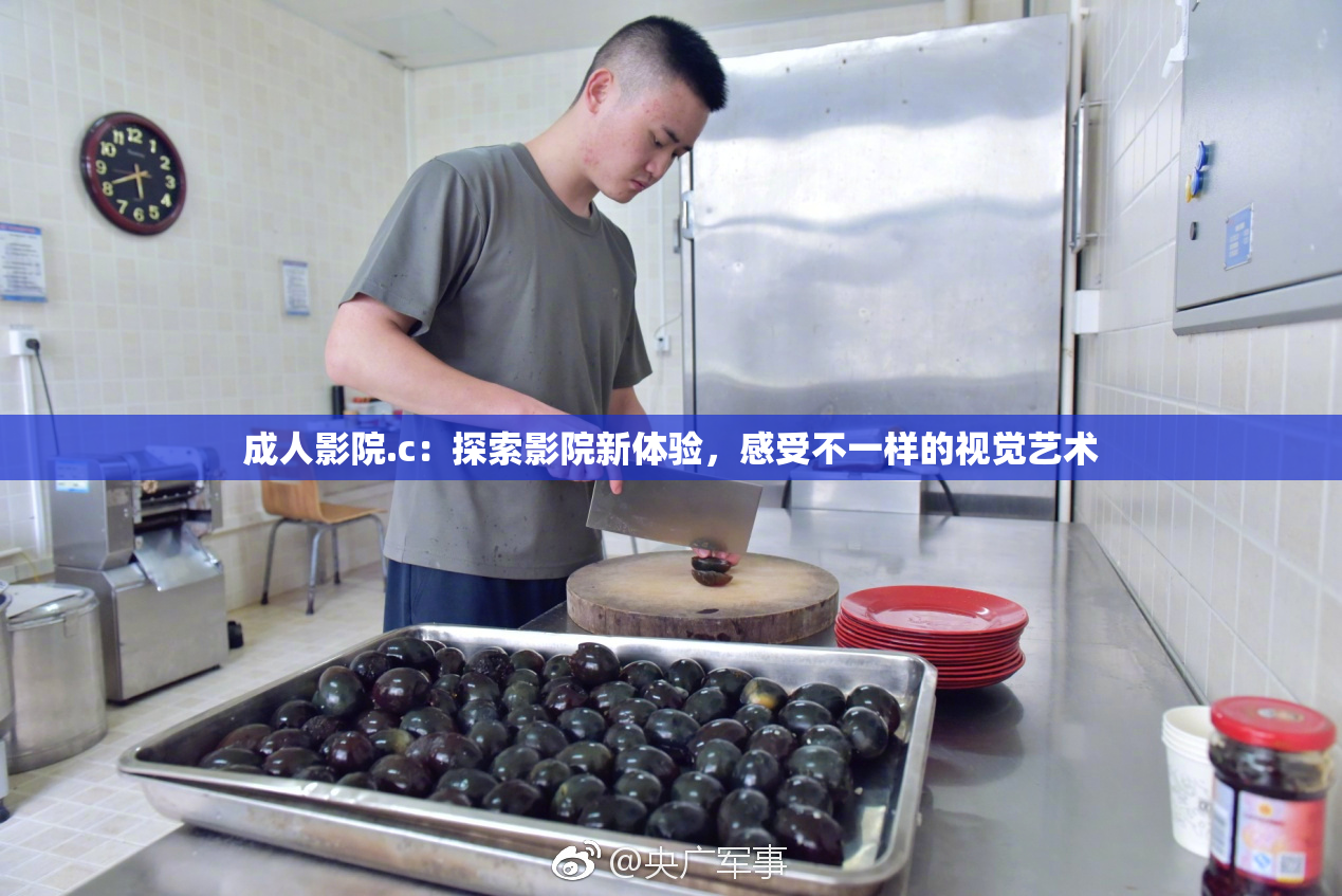 成人影院.c：探索影院新体验，感受不一样的视觉艺术