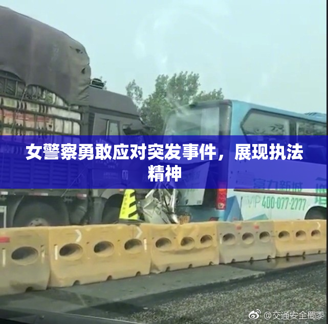 女警察勇敢应对突发事件，展现执法精神