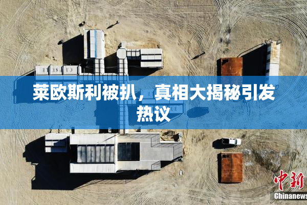 莱欧斯利被扒，真相大揭秘引发热议