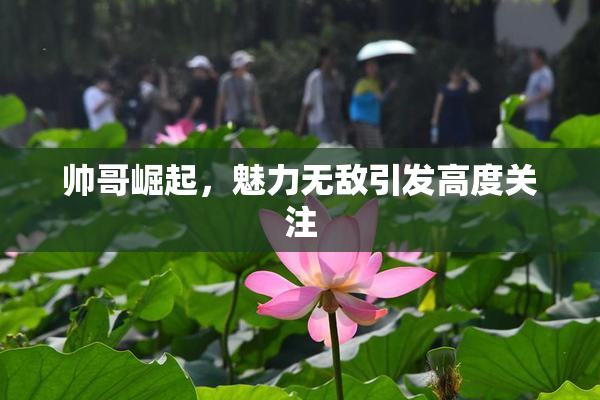 帅哥崛起，魅力无敌引发高度关注