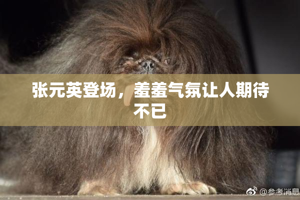 张元英登场，羞羞气氛让人期待不已