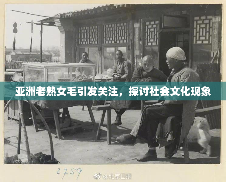 亚洲老熟女毛引发关注，探讨社会文化现象