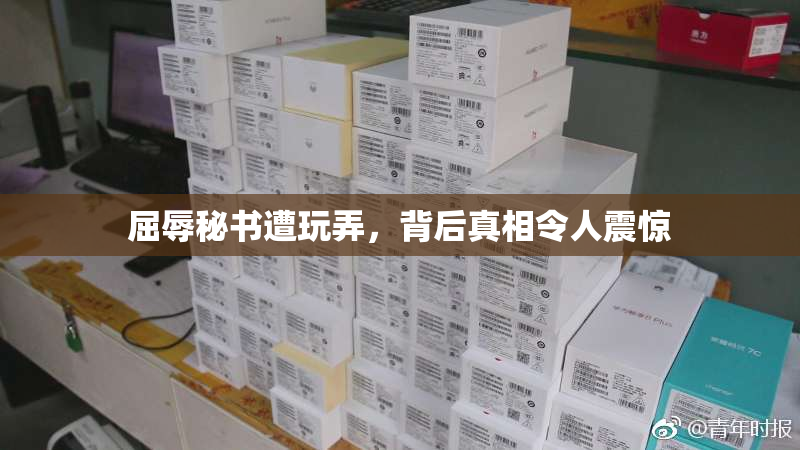 屈辱秘书遭玩弄，背后真相令人震惊