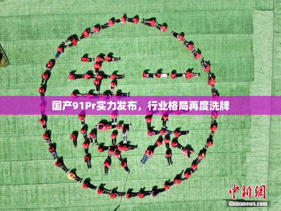 国产91Pr实力发布，行业格局再度洗牌