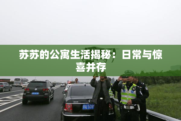 苏苏的公寓生活揭秘：日常与惊喜并存