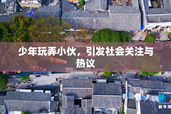 少年玩弄小伙，引发社会关注与热议