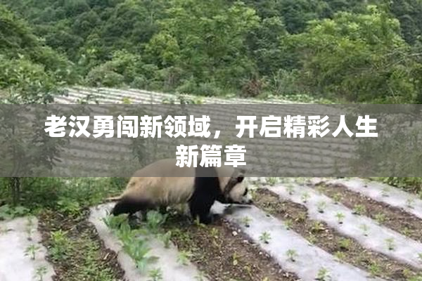 老汉勇闯新领域，开启精彩人生新篇章