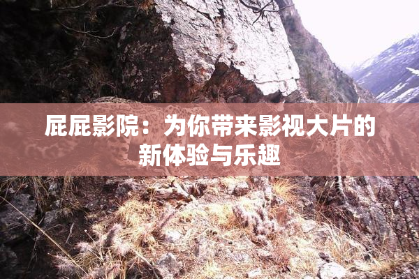 屁屁影院：为你带来影视大片的新体验与乐趣