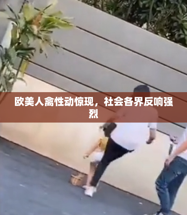 欧美人禽性动惊现，社会各界反响强烈