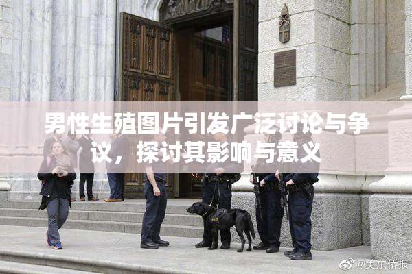 男性生殖图片引发广泛讨论与争议，探讨其影响与意义