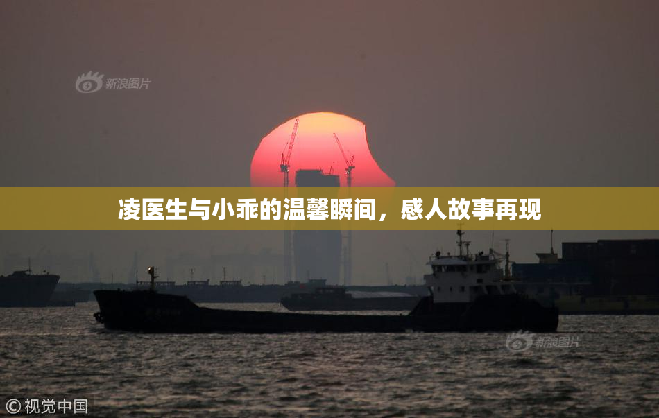 凌医生与小乖的温馨瞬间，感人故事再现