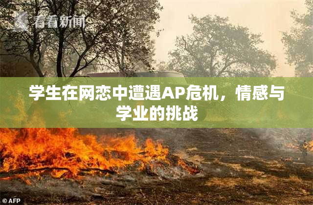 学生在网恋中遭遇AP危机，情感与学业的挑战