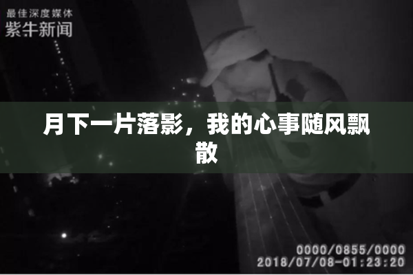月下一片落影，我的心事随风飘散