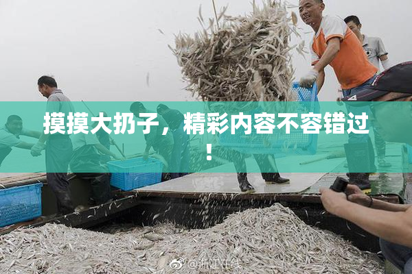 摸摸大扔子，精彩内容不容错过！