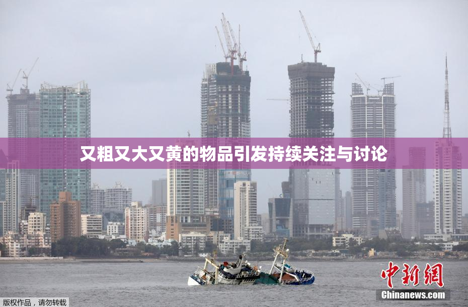 又粗又大又黄的物品引发持续关注与讨论