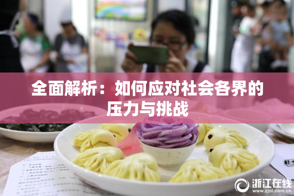 全面解析：如何应对社会各界的压力与挑战