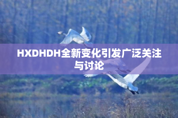 HXDHDH全新变化引发广泛关注与讨论