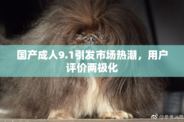 国产成人9.1引发市场热潮，用户评价两极化