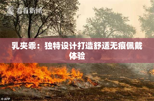 乳夹乖：独特设计打造舒适无痕佩戴体验